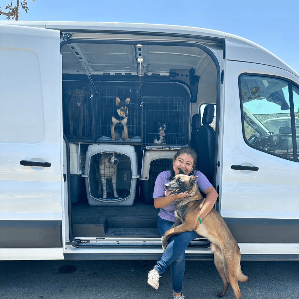 Rescue partner rescuing shelter pets