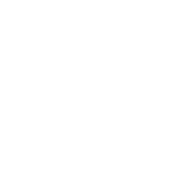 Computer icon