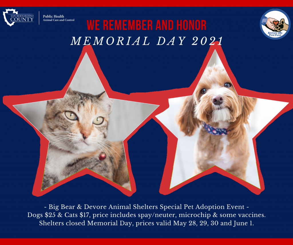 memorial-weekend-pet-adoption-event-closed-memorial-day-animal-care