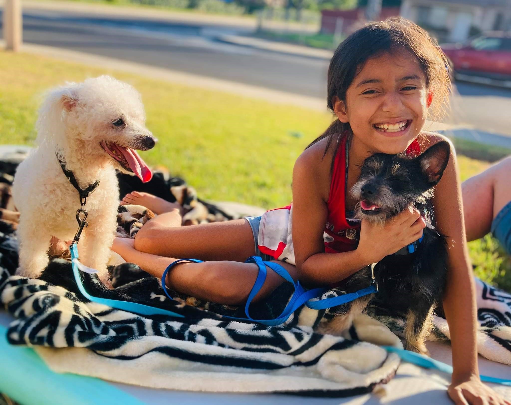 Girl with 2 small dogs