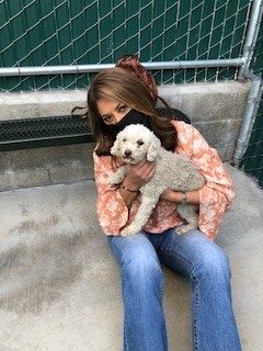 new owner holding the pet poodle she adopted