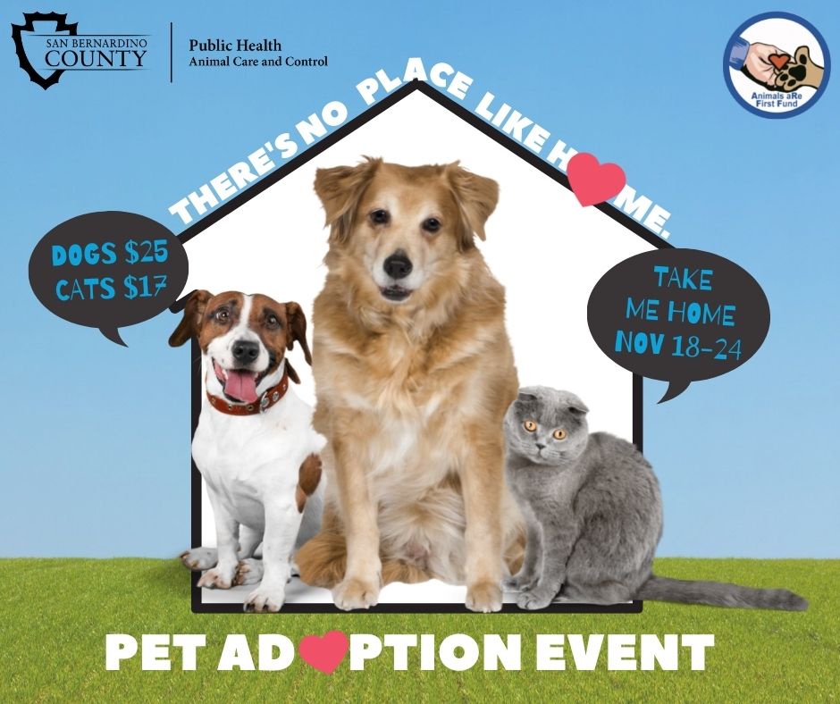 2 dogs and a cat Pet Adoption Event Flyer Nov 18-24