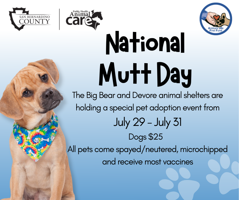 National Mutt Day Celebration Animal Care