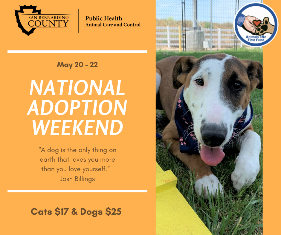 National Adoption Weekend – Animal Care and Control