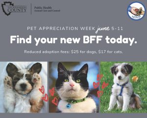 Pet Appreciation Week June 5-11