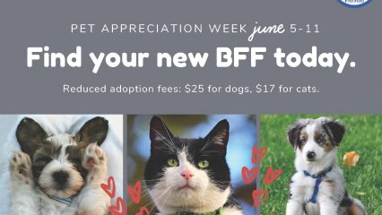 Pet Appreciation Week June 5-11