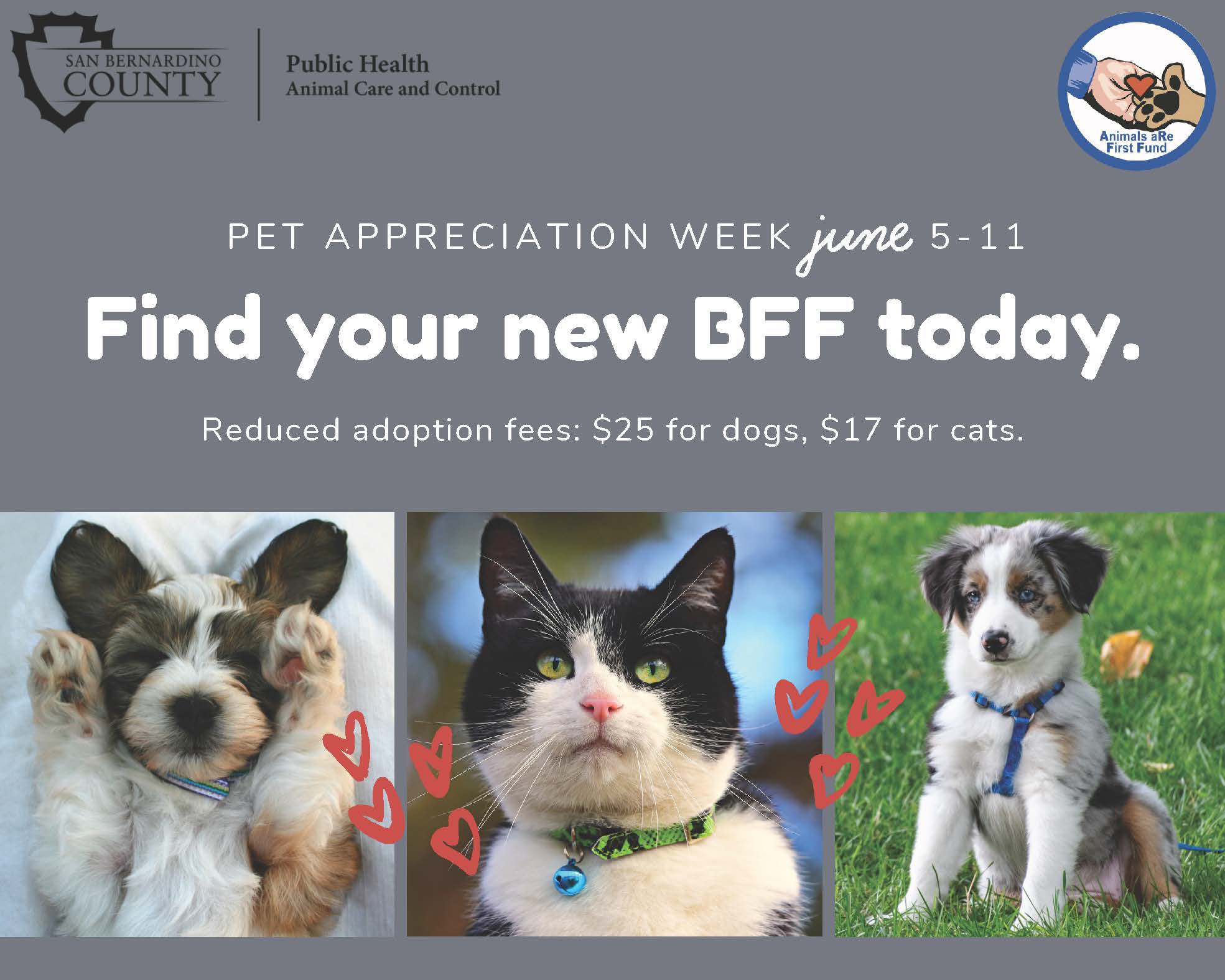 Pet Appreciation Week – Animal Care and Control
