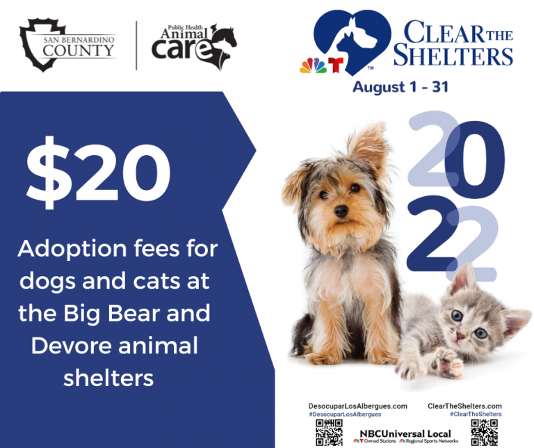 Clear the Shelter Event Animal Care