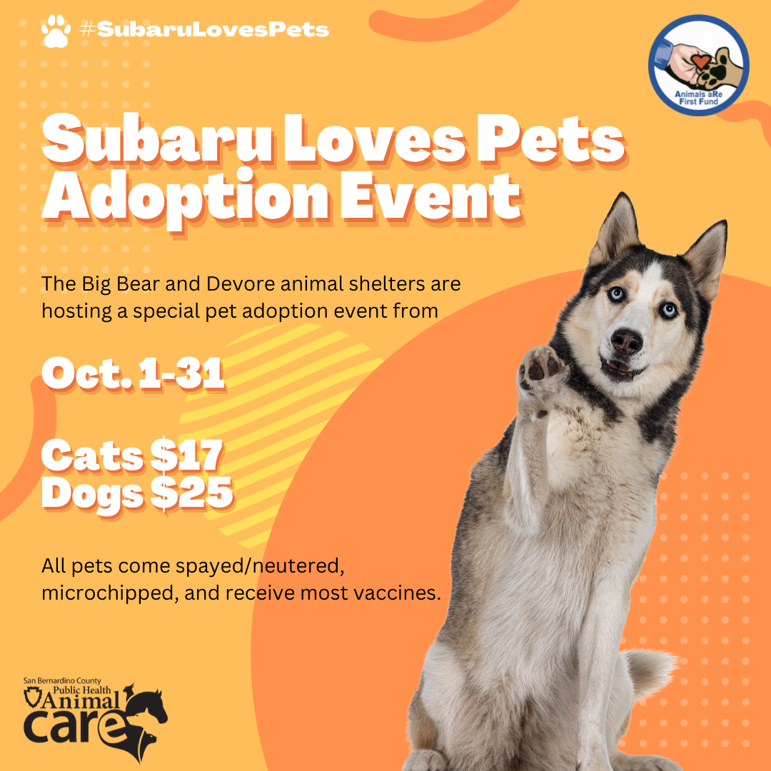 Subaru Loves Pets Adoption Event Animal Care