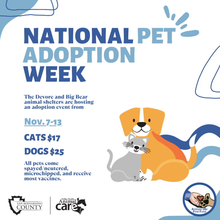 National Pet Adoption Week Animal Care