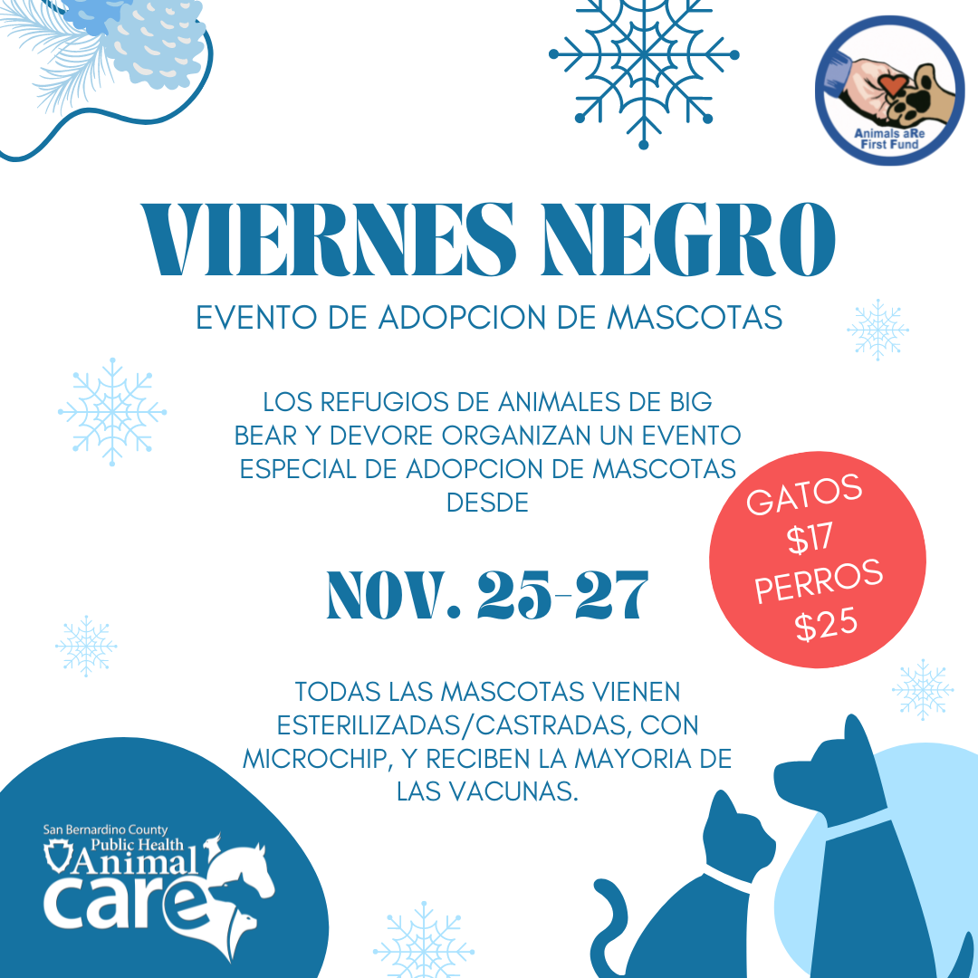 Black Friday Pet Adoption Event Animal Care