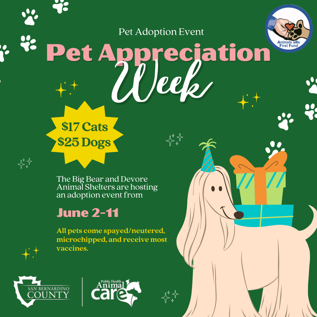 Pet Appreciation Week Adoption Event Animal Care