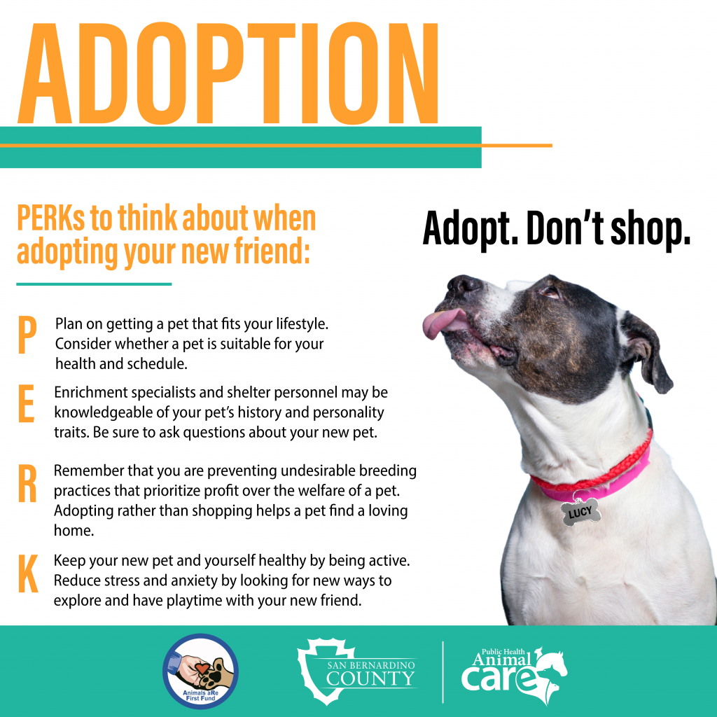 A social media post sharing perks on why adopting an animal from a shelter is better than buying one.