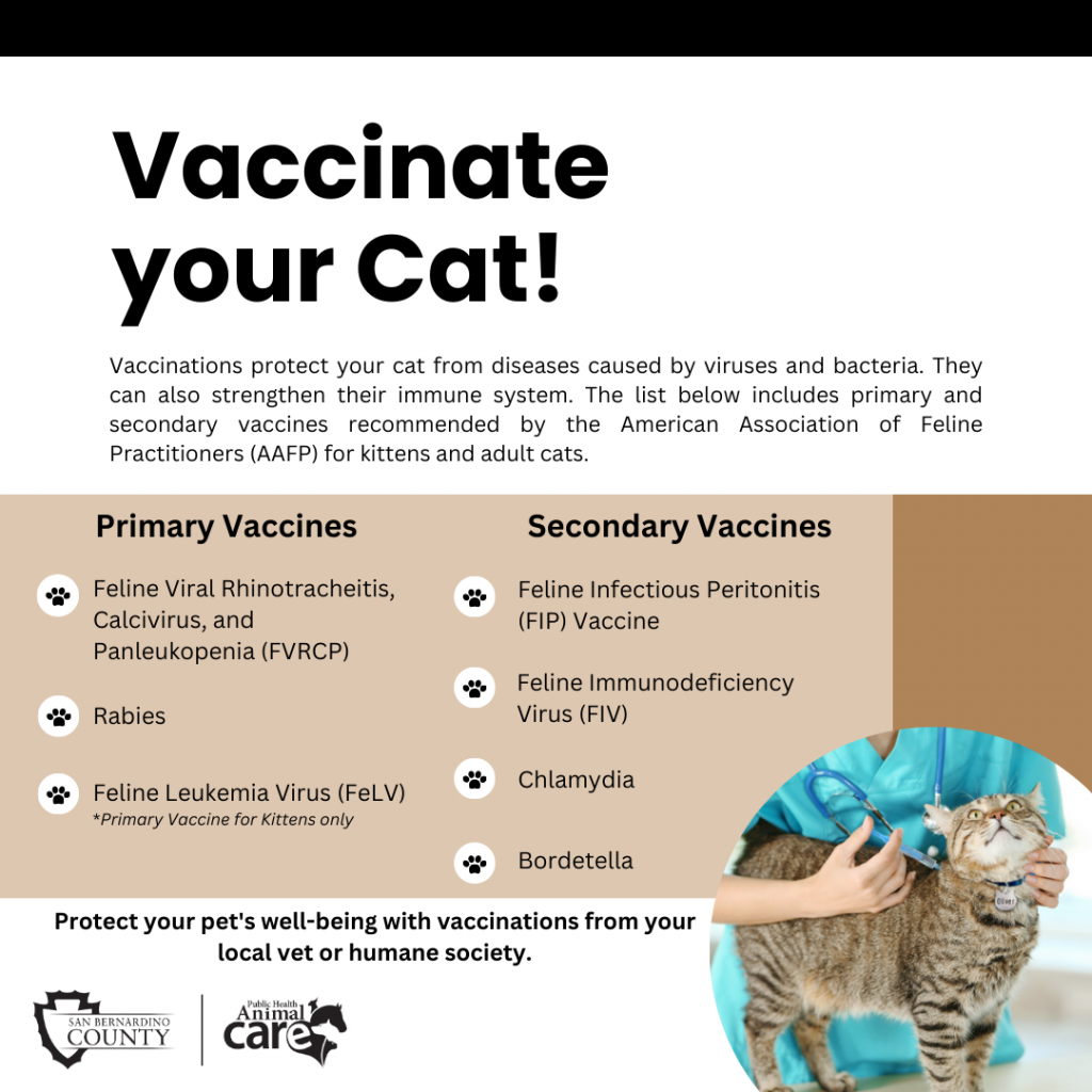 A square social media post asking people to vaccinate their cats and listing important vaccines their pet should obtain.
