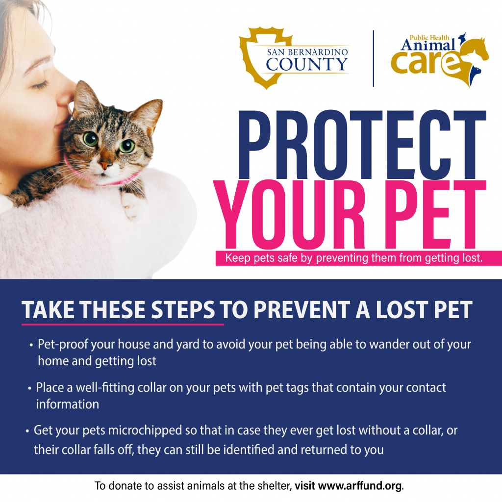 A social media post informing readers of steps to take to prevent a lost pet.
