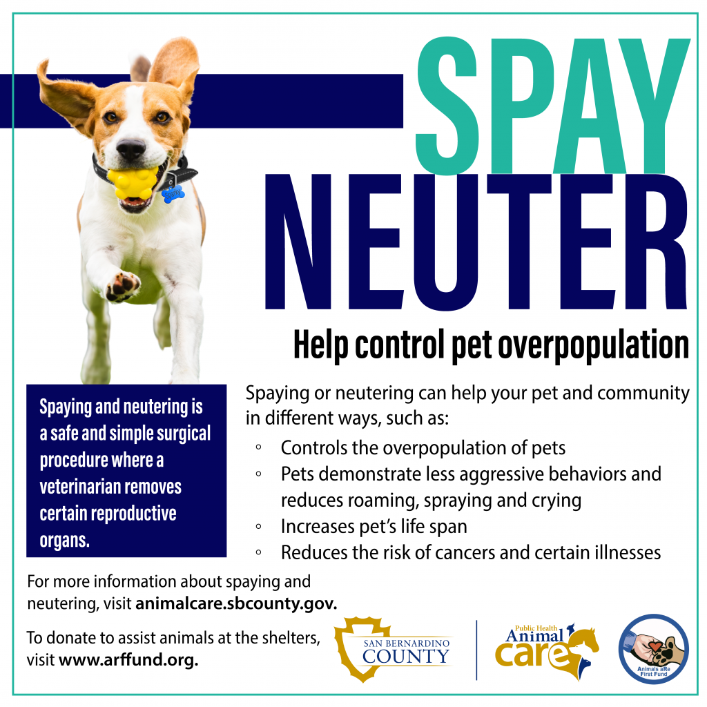 Social media post on the importance of spaying and neutering pets to help control pet overpopulation.