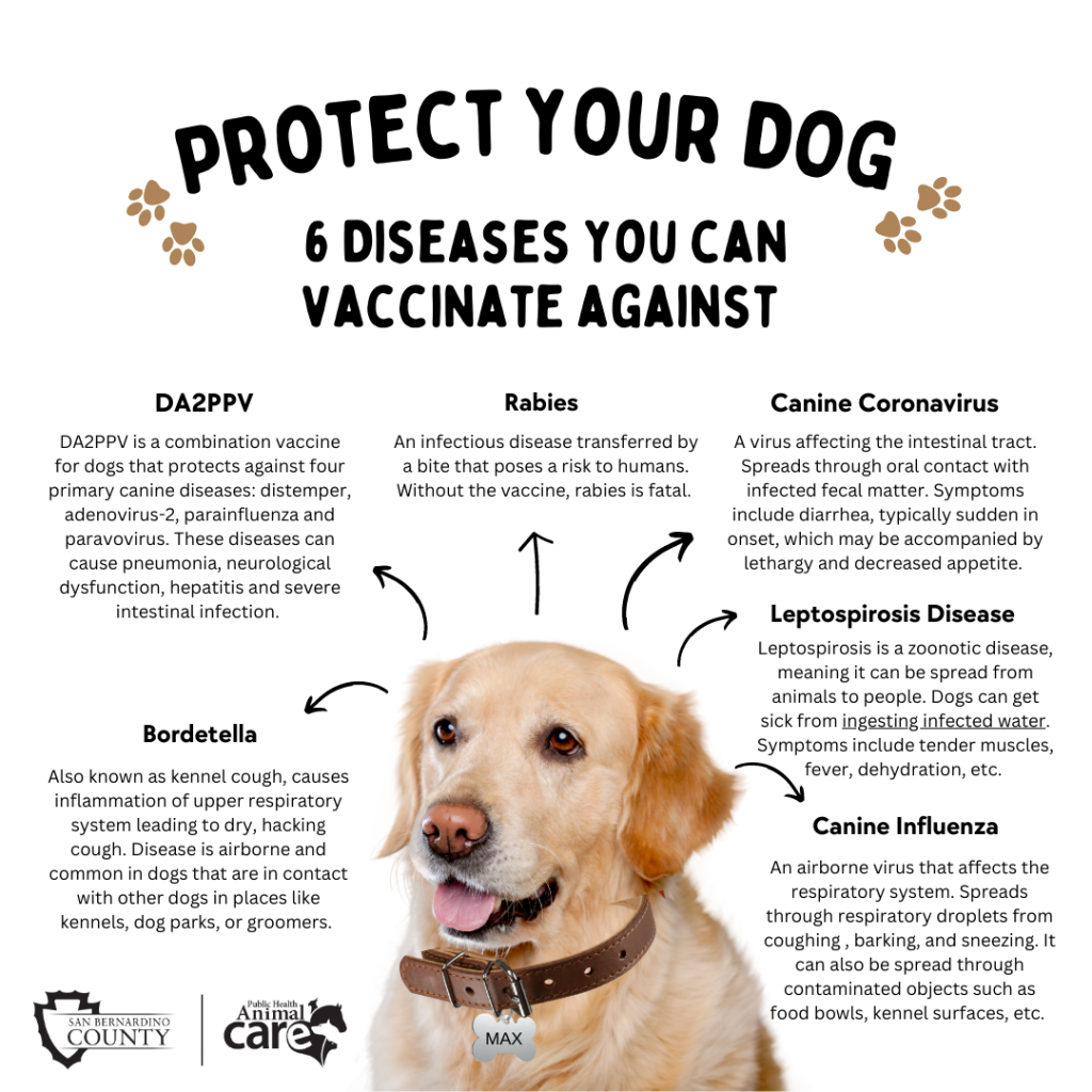 A social media post listing 6 common dog diseases that you can prevent by getting your dog vaccinated.