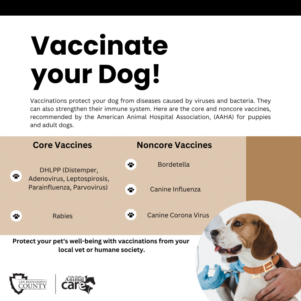 A square social media post asking people to vaccinate their cats and listing important vaccines their pet should obtain.