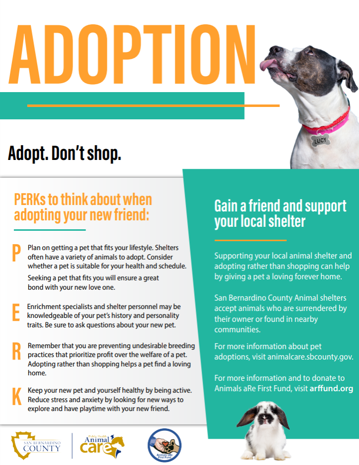 A adoption flyer highlighting the perks of adopting an animal from a shelter instead of shopping for one.