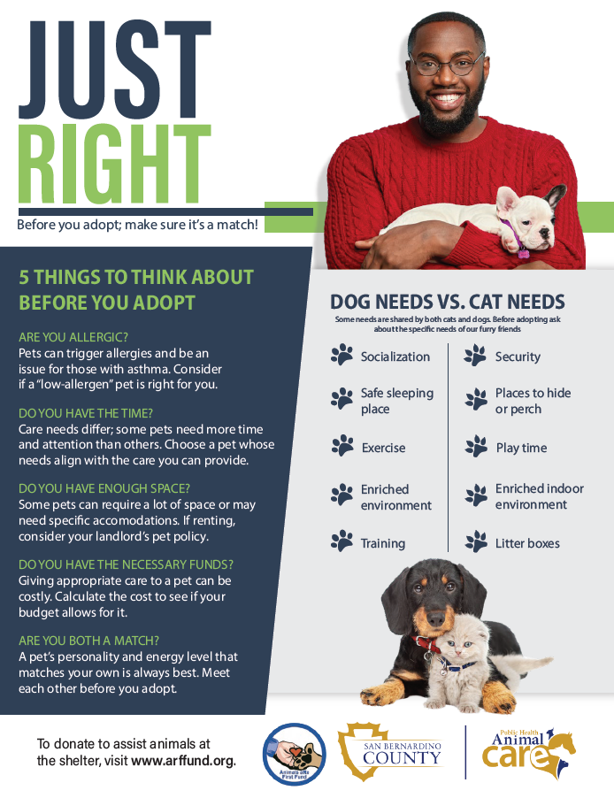 A flyer with information potential adopters should consider before adopting a pet.