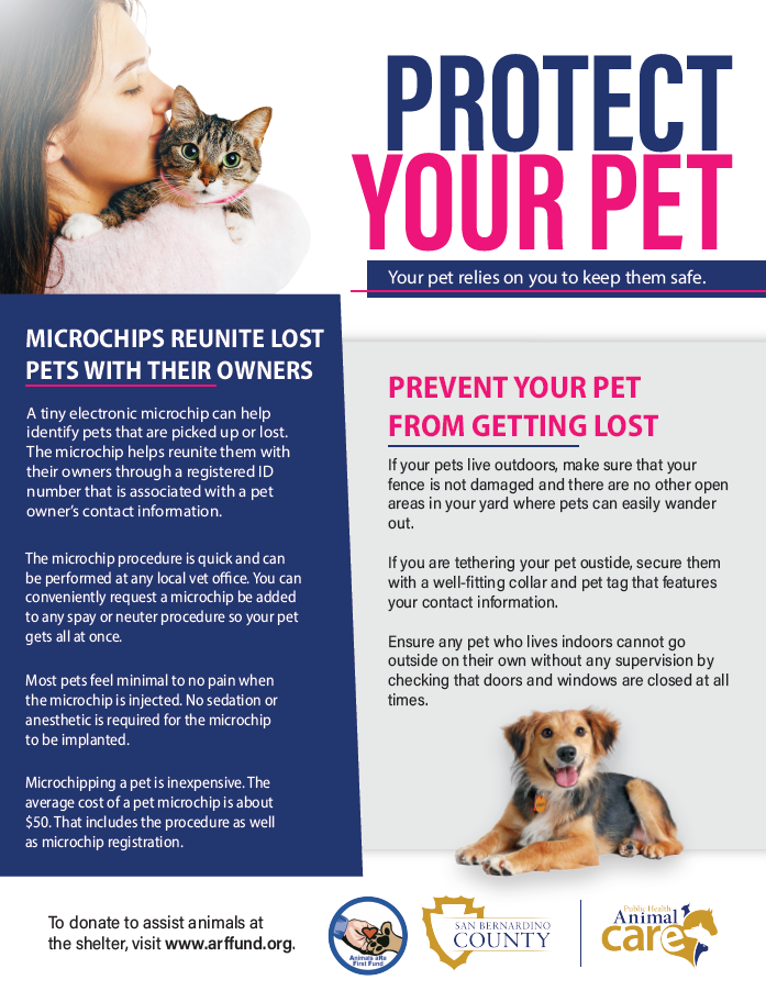 A flyer informing readers of steps to take to prevent a lost pet.