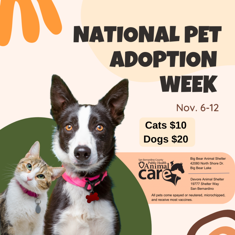 National Pet Adoption Week Animal Care