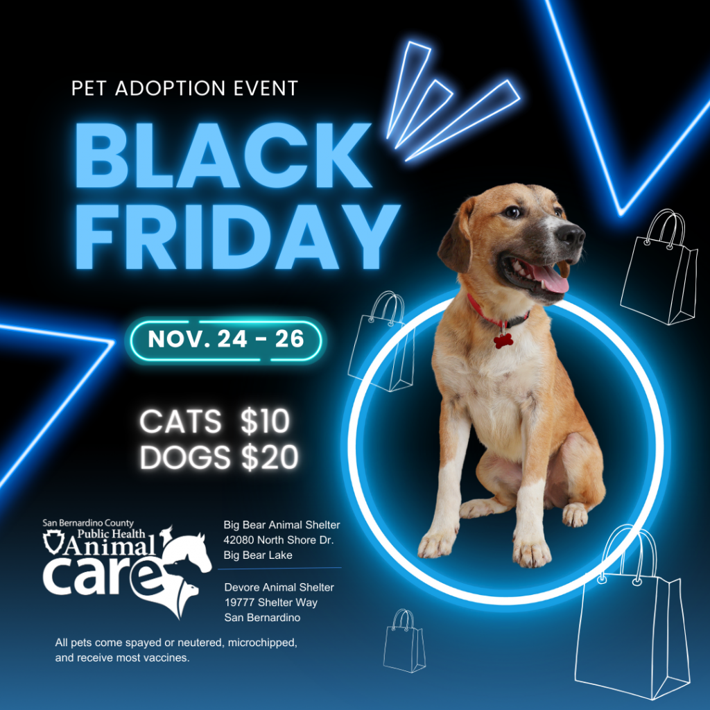 Black Friday Pet Adoption Event Animal Care