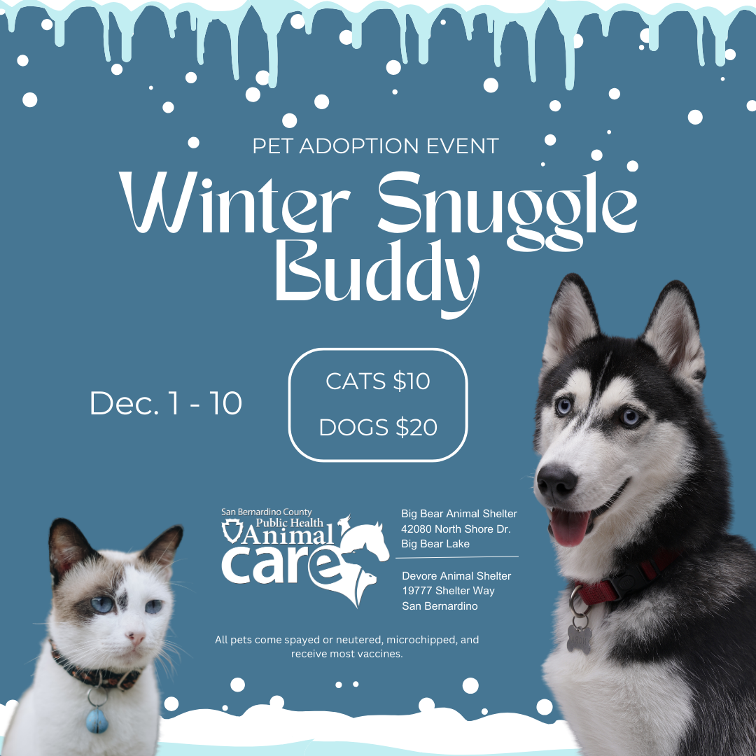 Winter Snuggle Buddy Adoption Event Flyer