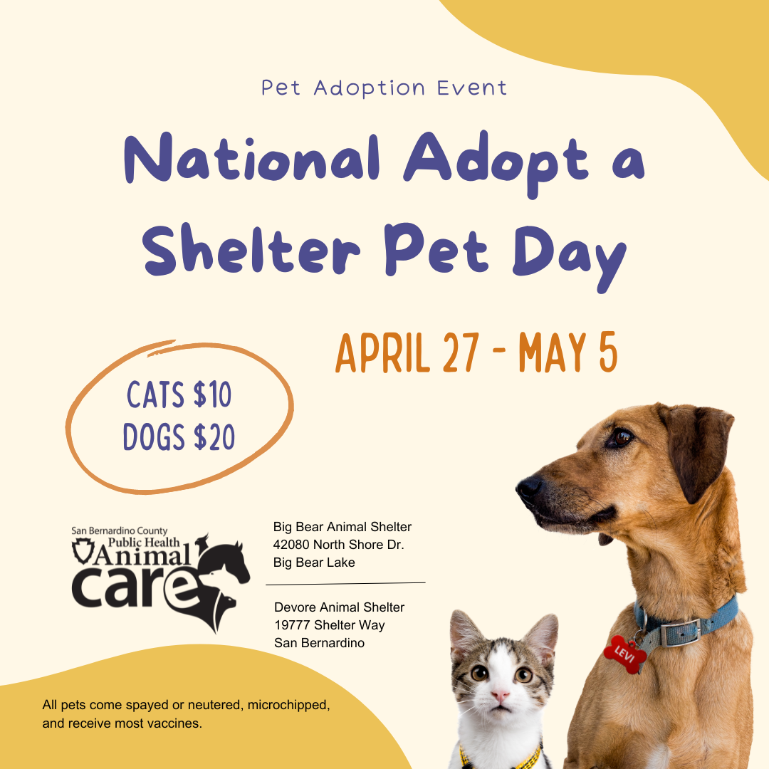 National Adopt a shelter Pat Day - April 27 - May 5 - Flyer