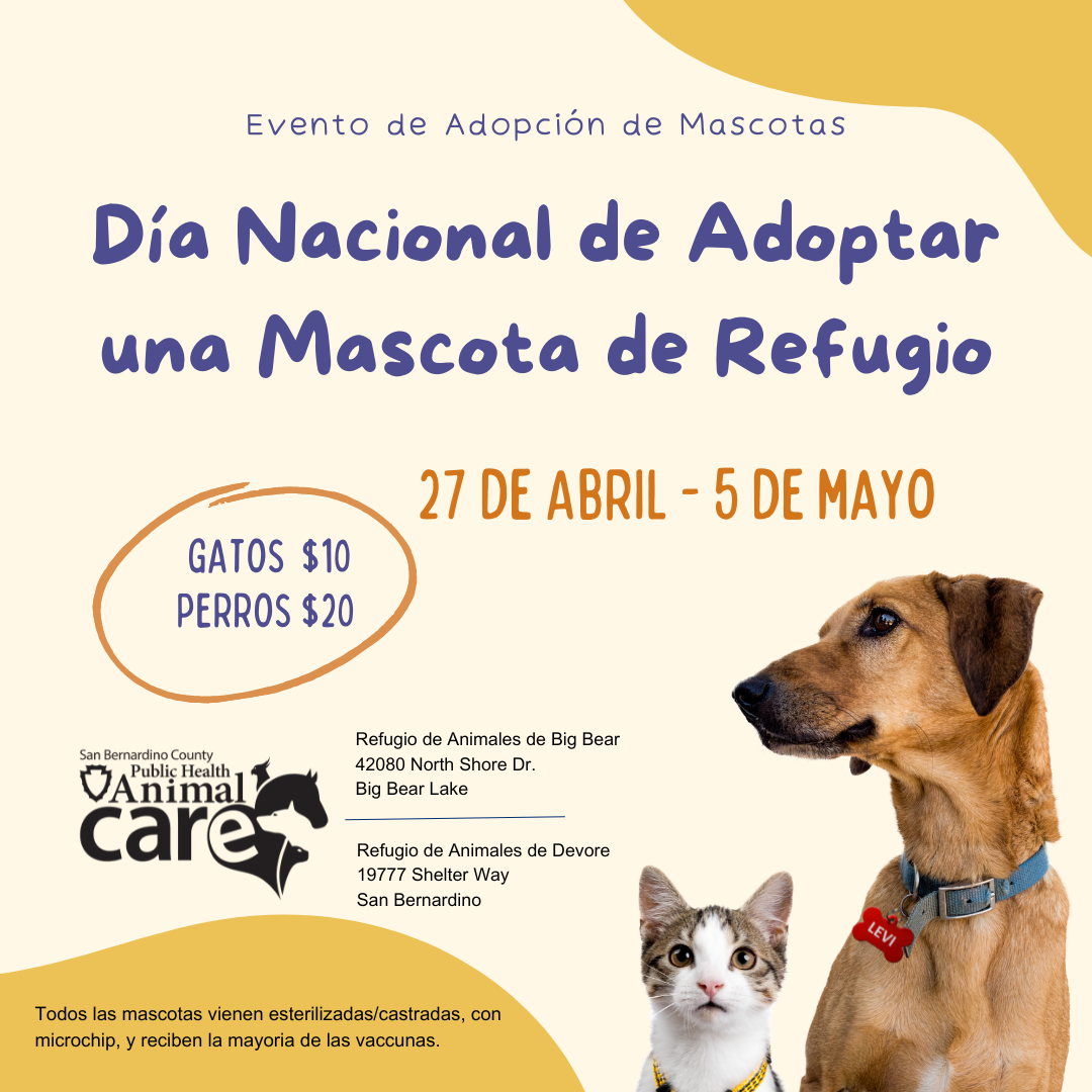 Dia Nacional de Adoptar una Mascota de Refugio - 27 de Abril a 5 de Mayo