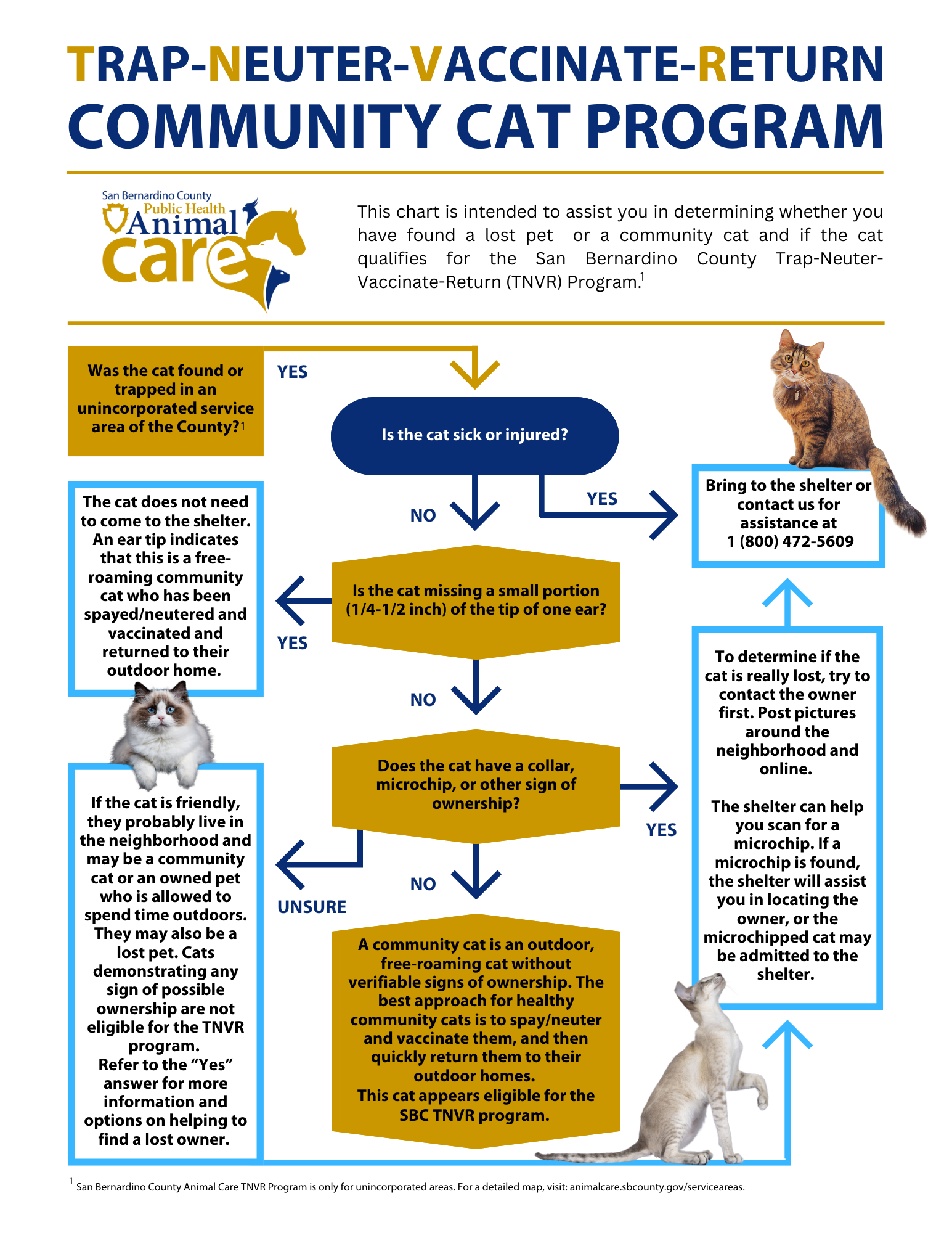 Community cat program TNVR chart in English