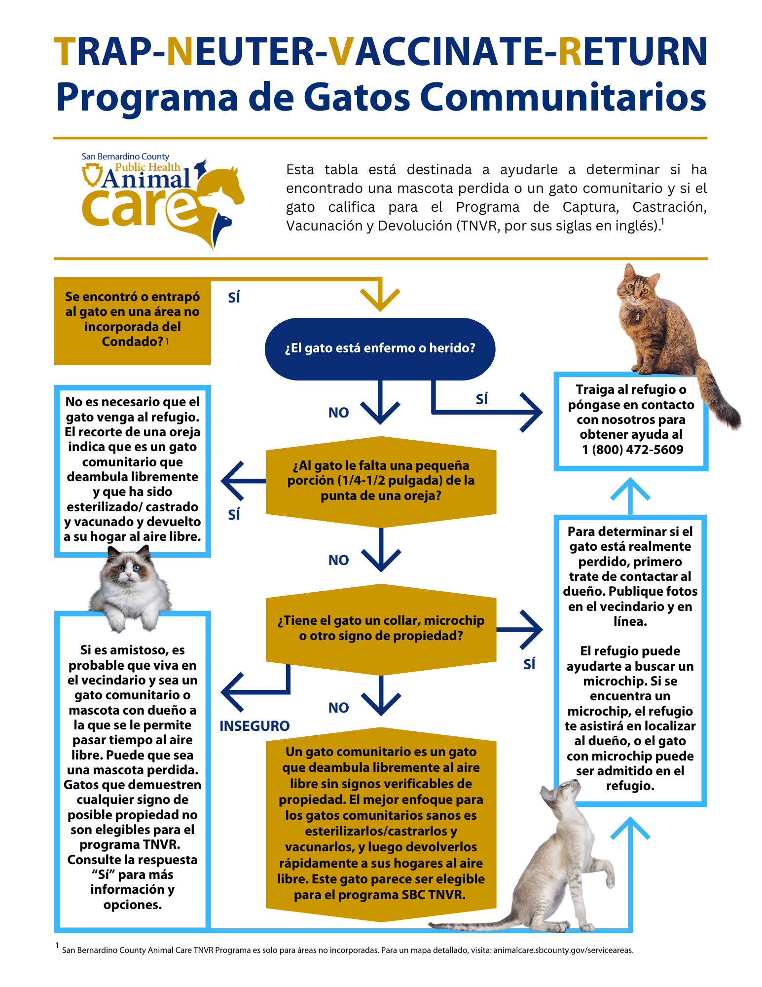 Community cat program TNVR chart in Spanish