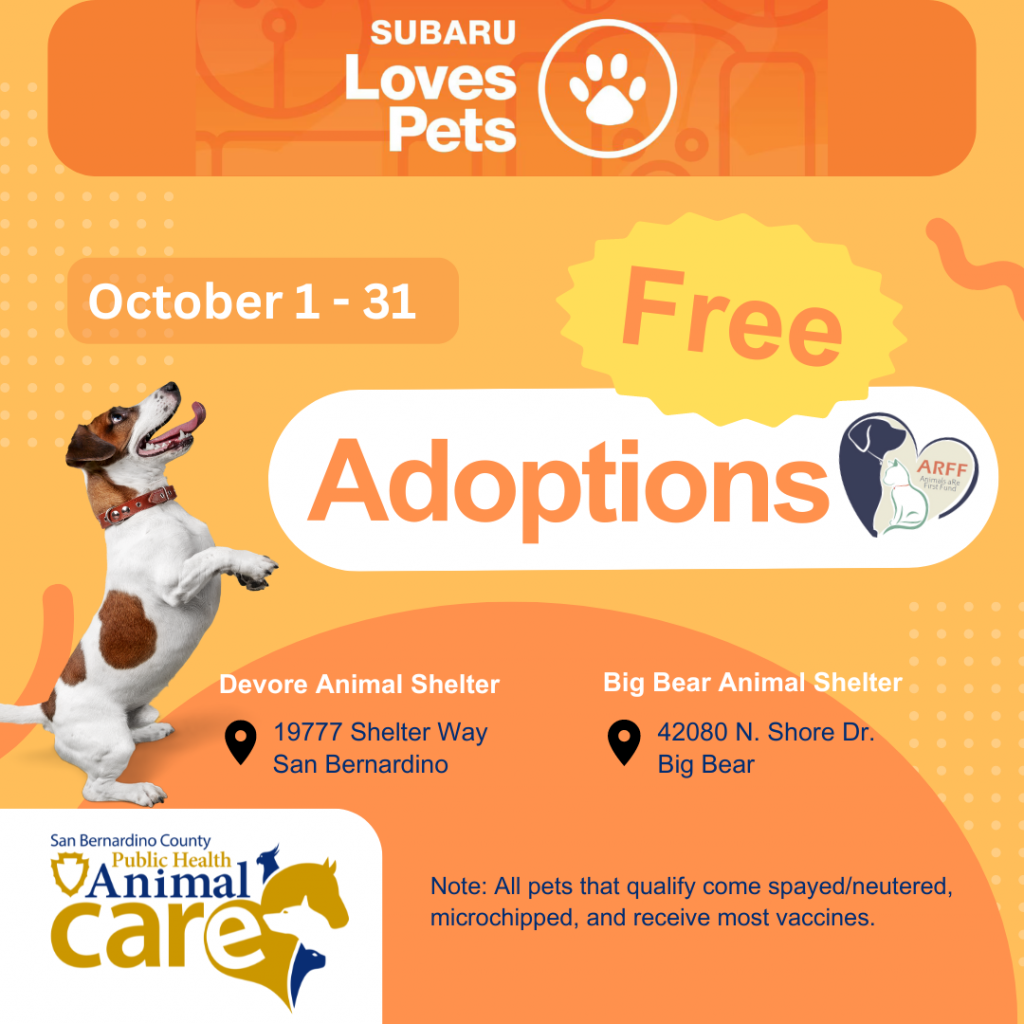 Free adoption event for qualifying pets