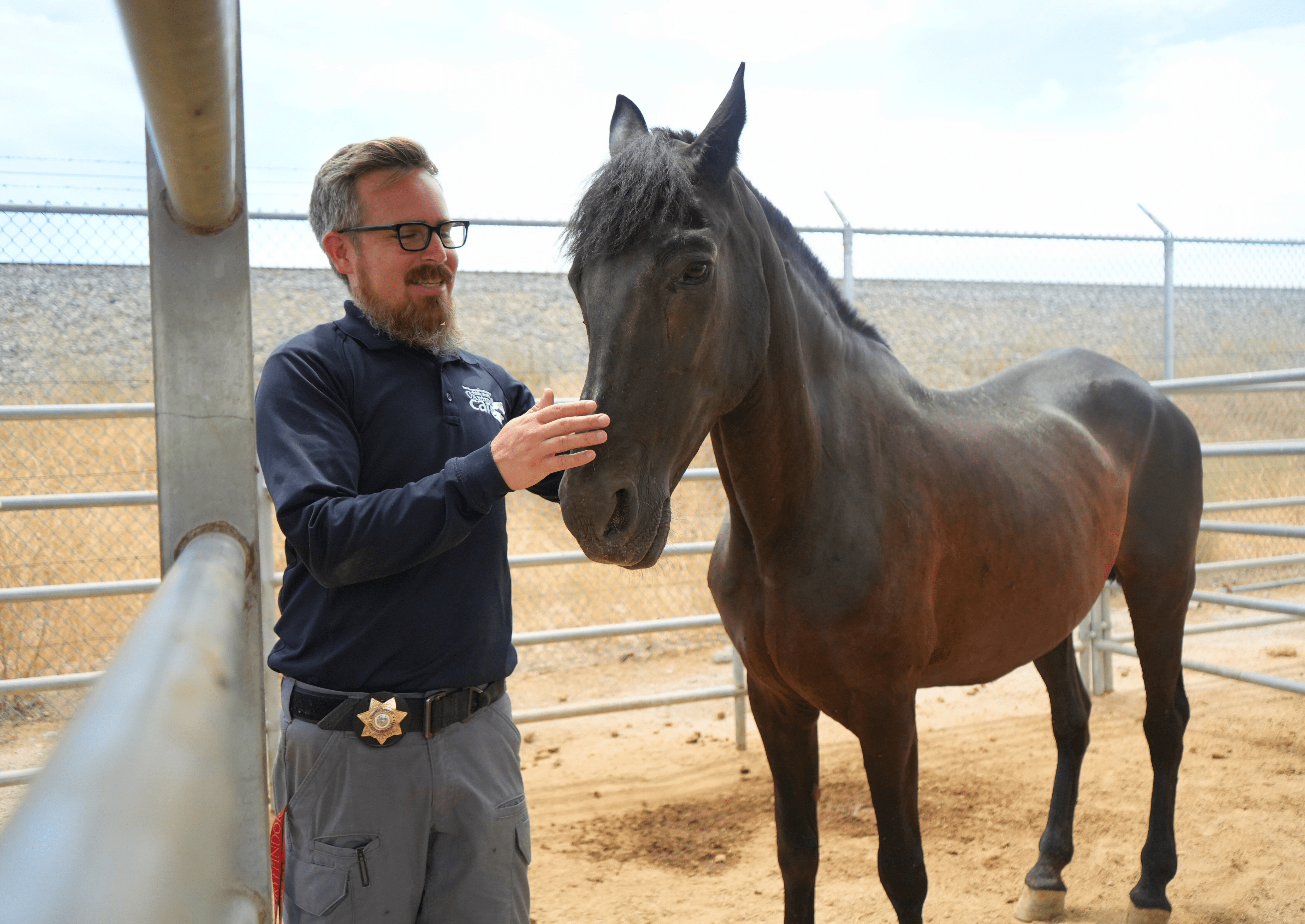 Animal Control Officer petting a horse