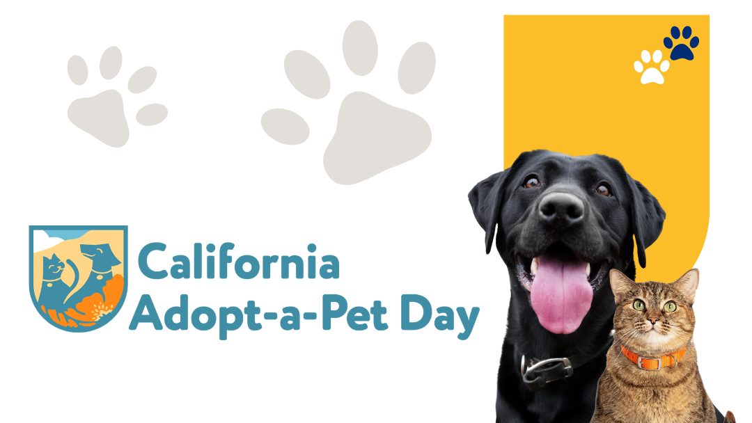 California Adopt-a-Pet Day graphic with event logo, large paw prints, a black dog wearing a black collar next to a cat with green eyes and orange collar