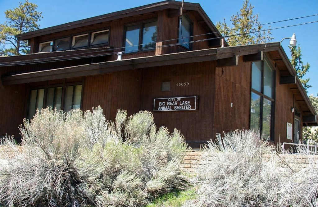 Big Bear Animal Shelter