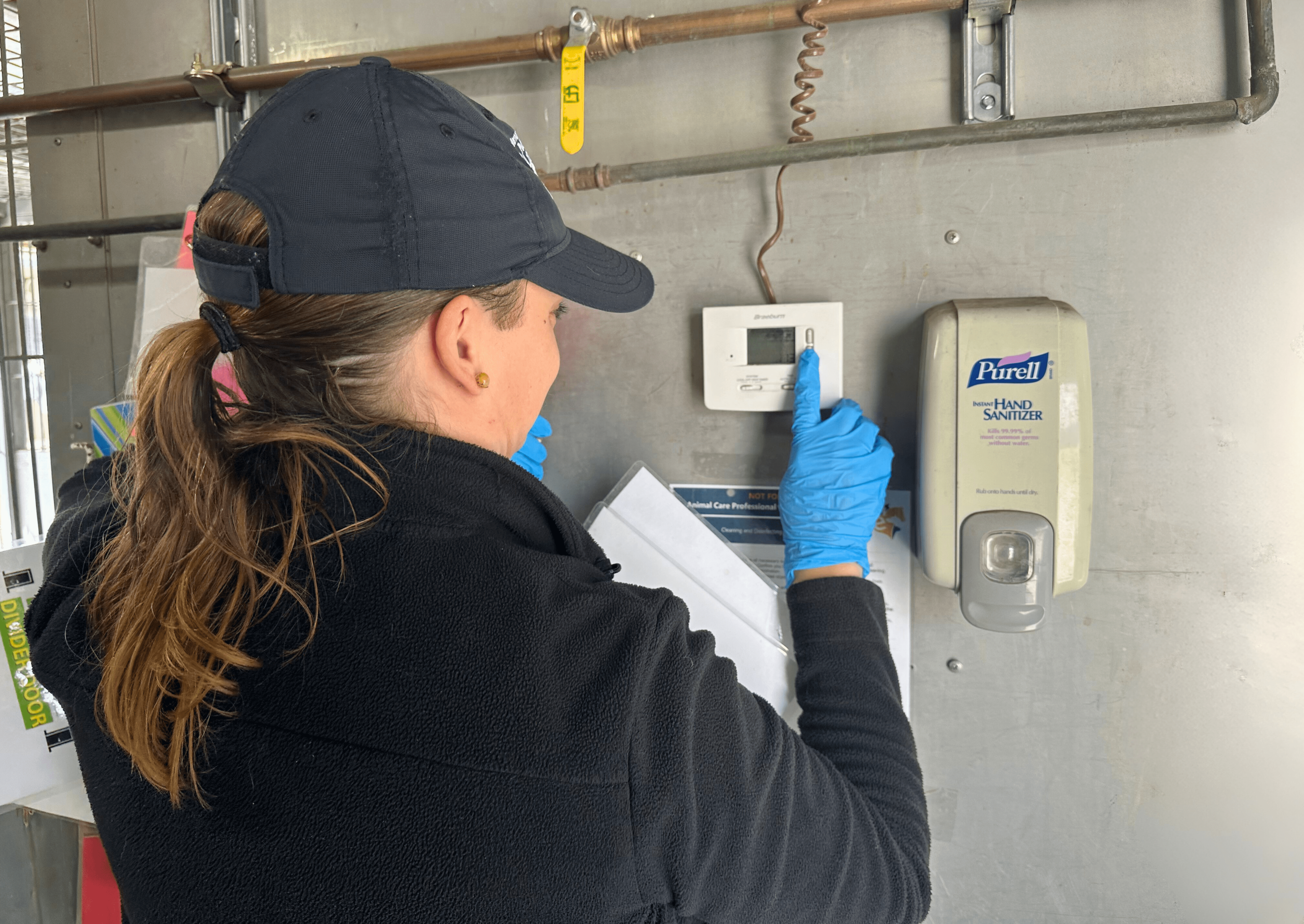 Animal Control Officer checking the temperature