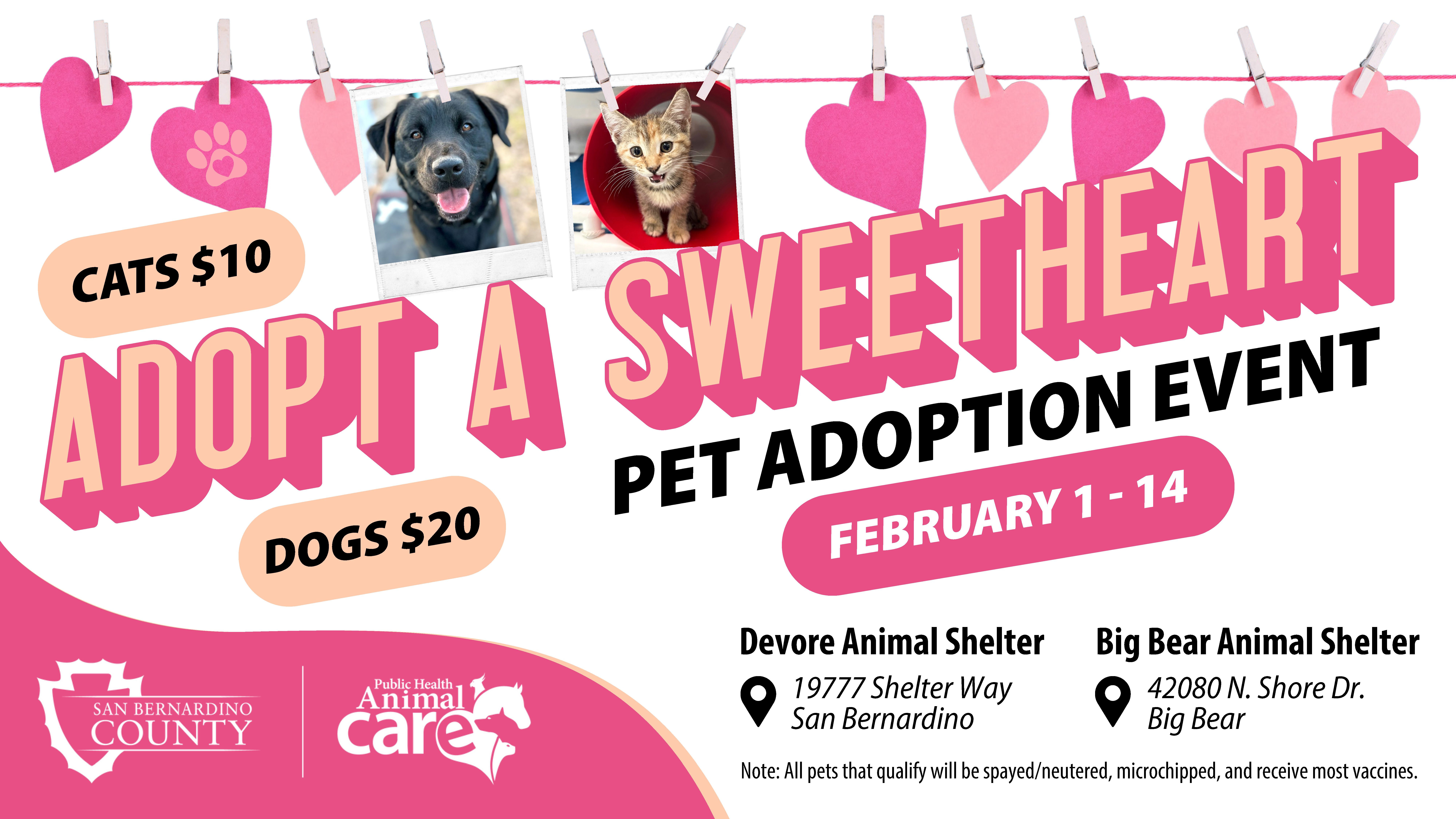 Advertisement for a pet adoption event, "Adopt a Sweetheart," from February 1-14. Cats are $10, dogs $20. Locations: Devore Animal Shelter, Big Bear Animal Shelter.