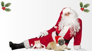 A man dressed on Santa laying on the floor. In front of him is a kitten and a dog in Santa hats.