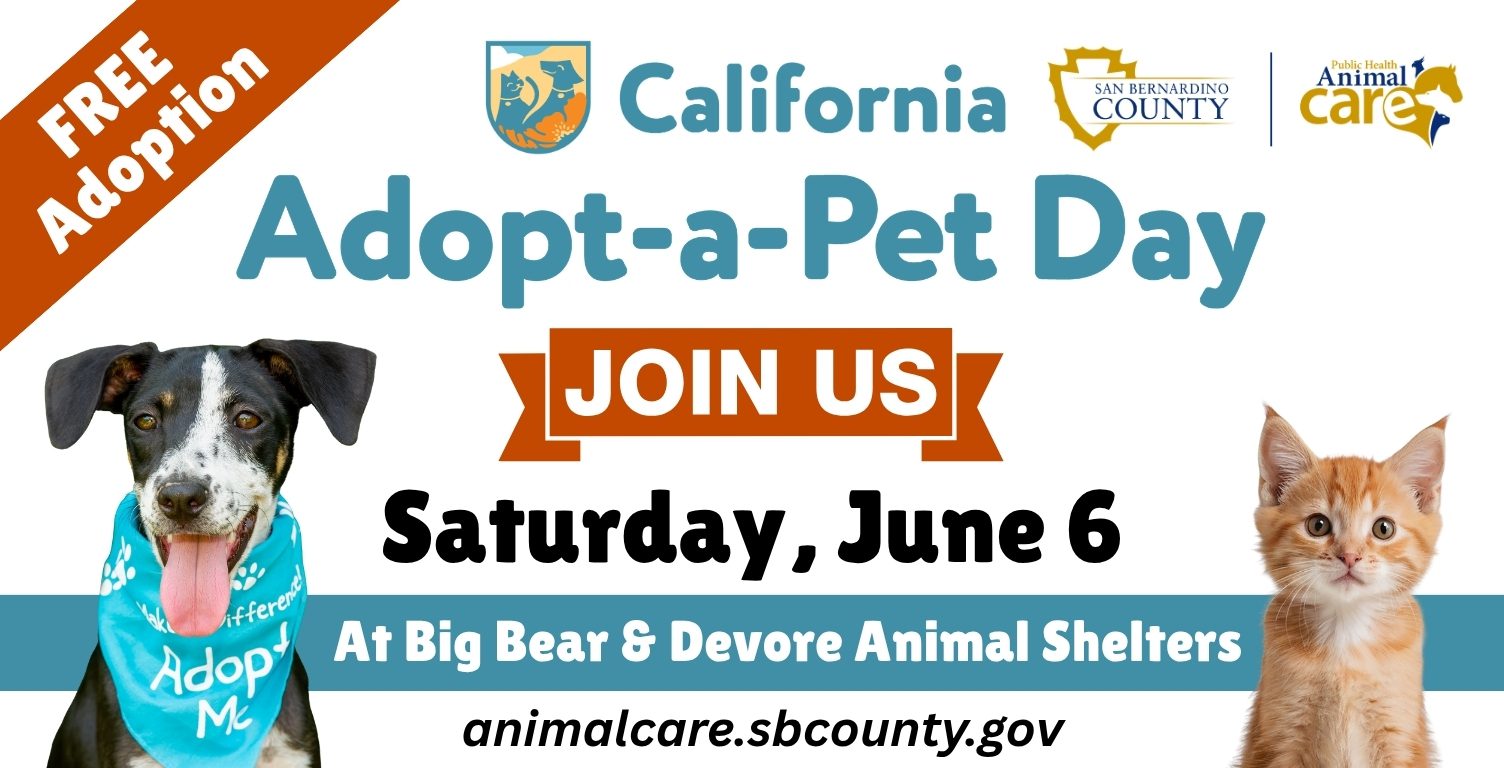 Flyer for California Adopt‑a‑Pet Day featuring a dog wearing a blue “Adopt Me” bandana and a cat. The flyer announces free adoptions on Saturday, June 6 at the Big Bear and Devore Animal Shelters, with San Bernardino County and Public Health Animal Care logos.