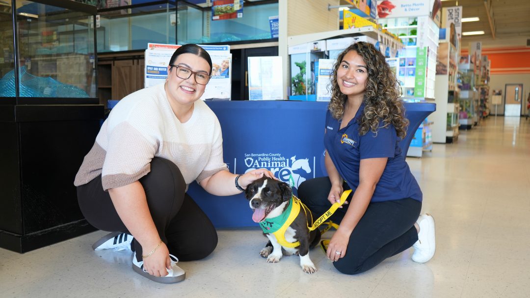Two women in front of a blue table smiling at the camera and petting a small black dog in a PetCo store.