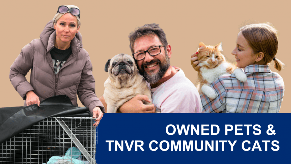 Owned pets and TNVR community cats.