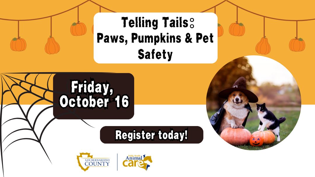 Flyer for “Telling Tails: Paws, Pumpkins & Pet Safety” on Friday, October 16, featuring Halloween graphics and photos of pets in costumes.