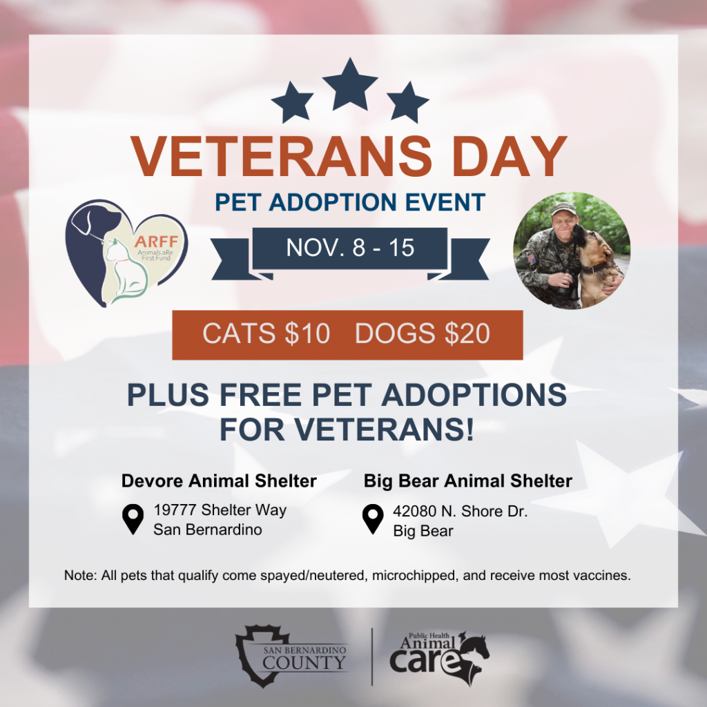 Veterans Day Pet Adoption Event