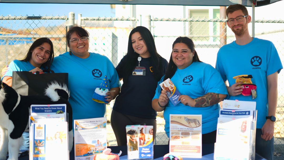 Volunteers at an event helping a health education specialist promote the programs and services