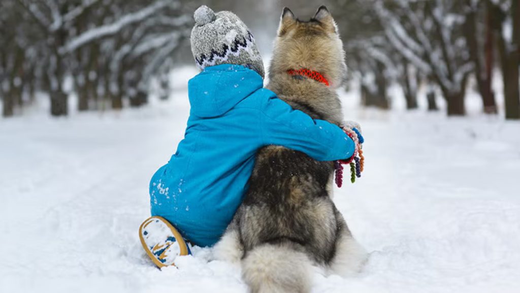 A kid hugging a husky in the snow