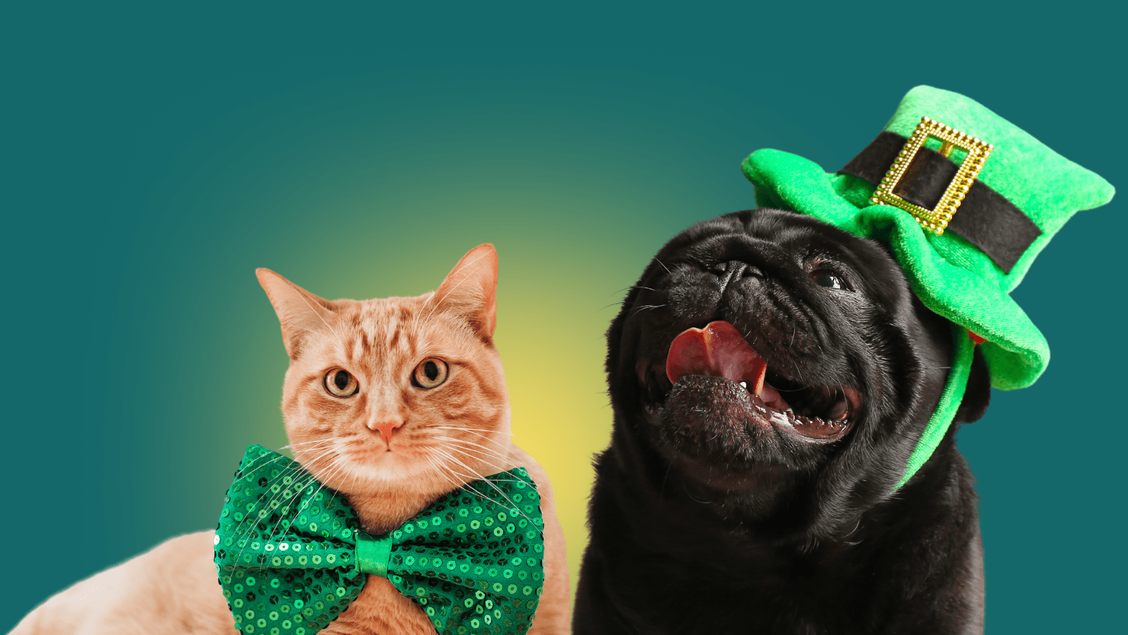 A dog and a cat in St. Patrick's outfit