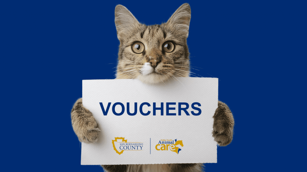 Cat holding a sign saying , "voucher"